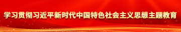 抽插视频爽porn学习贯彻习近平新时代中国特色社会主义思想主题教育